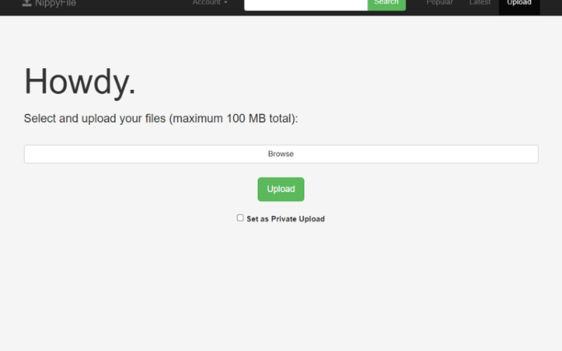 Nippyfile: Everything You Need to Know